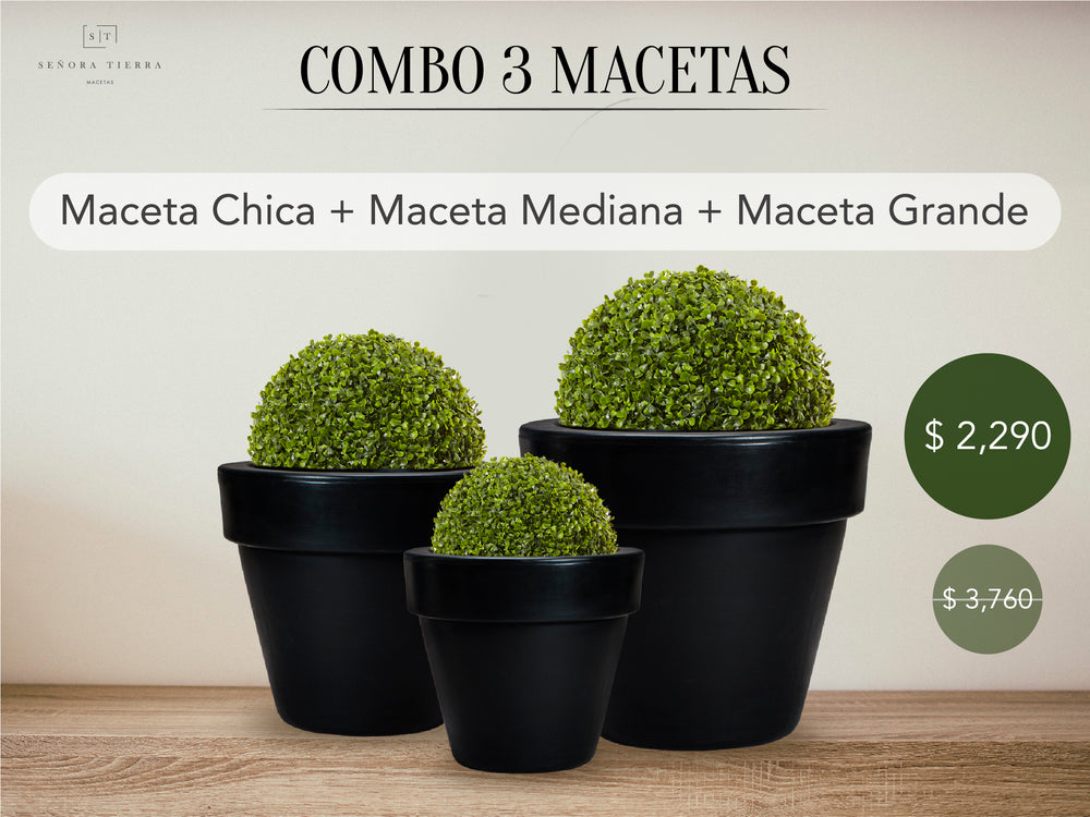 501 Combo Maceta